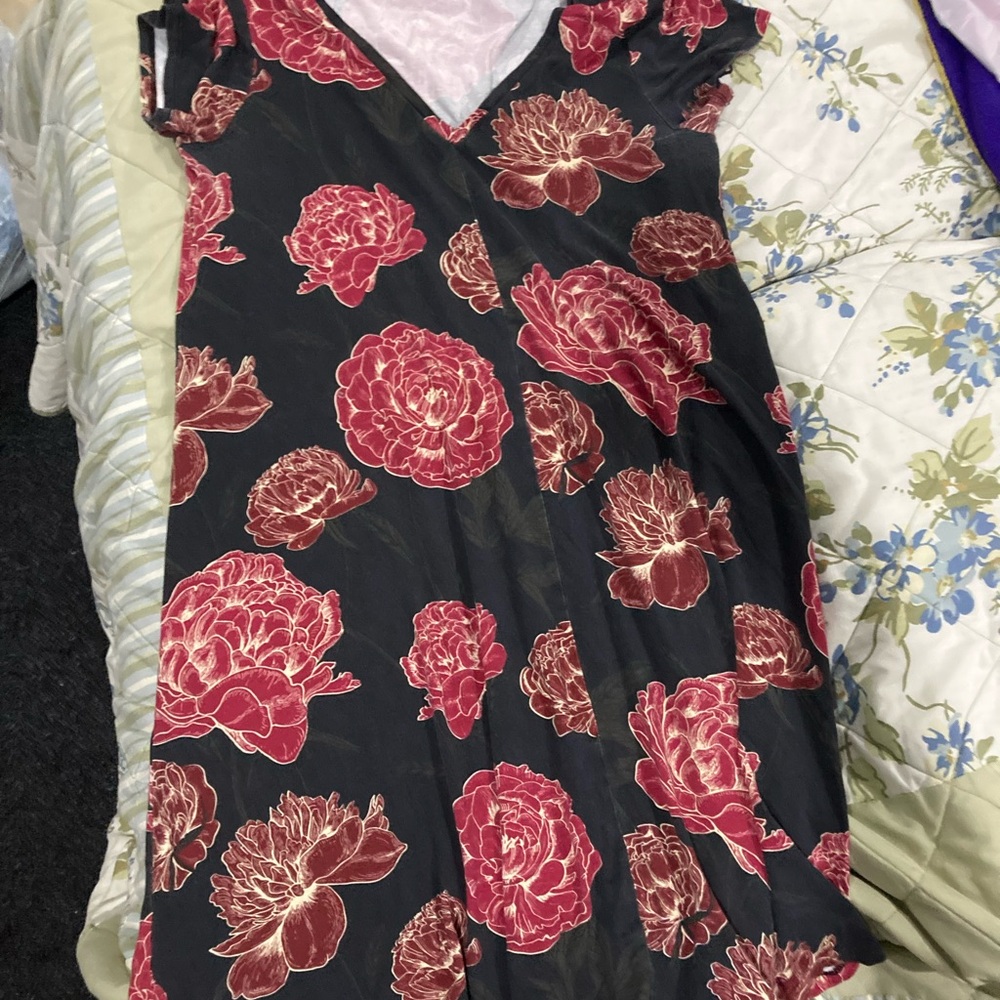 Agnes and Dora dress